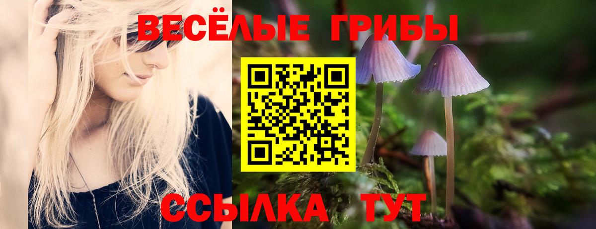 Нижнекамск  Галлюциногенные грибы Cubensis  Вход с VPN 